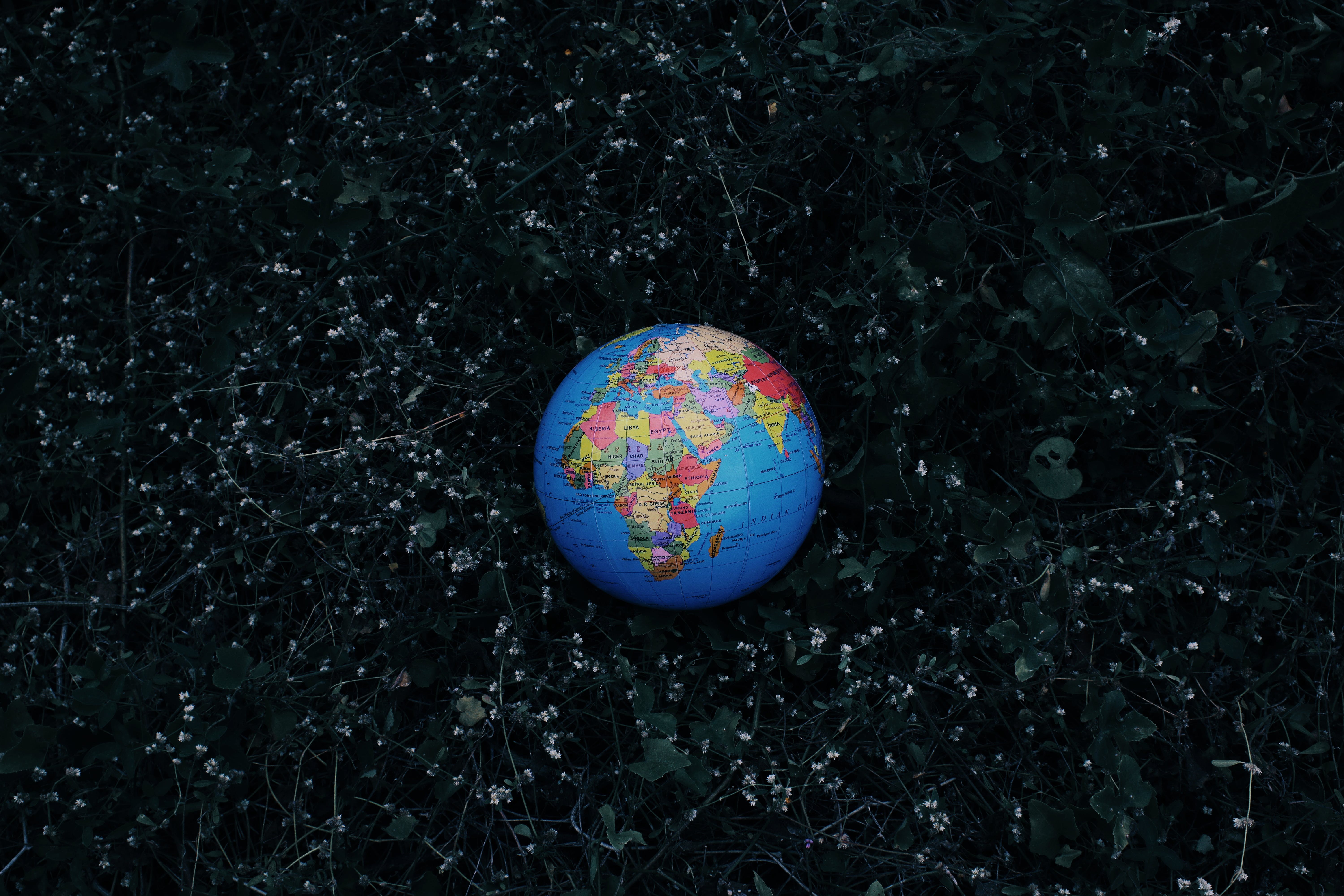 Bitdefender Internet Security Download