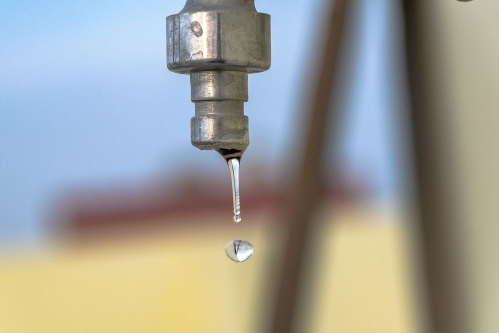 Bitdefender Antivirus Small Business